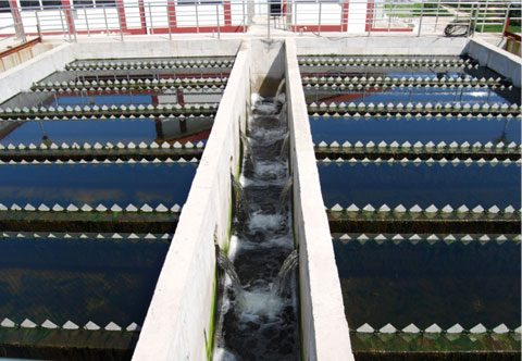 亚游集团·ag8(中国游)官网 -只為非同凡享