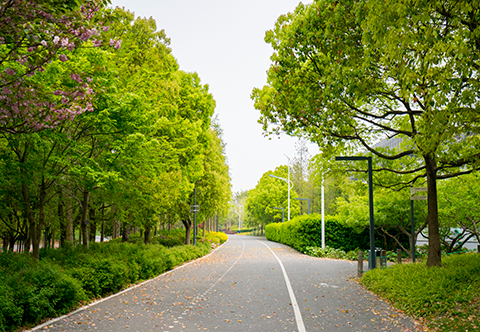 亚游集团·ag8(中国游)官网 -只為非同凡享